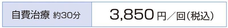 自費治療